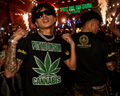 PutMeOnSum Leaf Design T-Shirt & Shirts